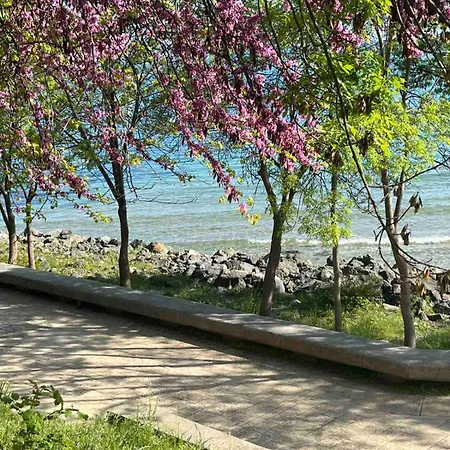 Barbie-themed 3bdr Penthouse Near The Beach,